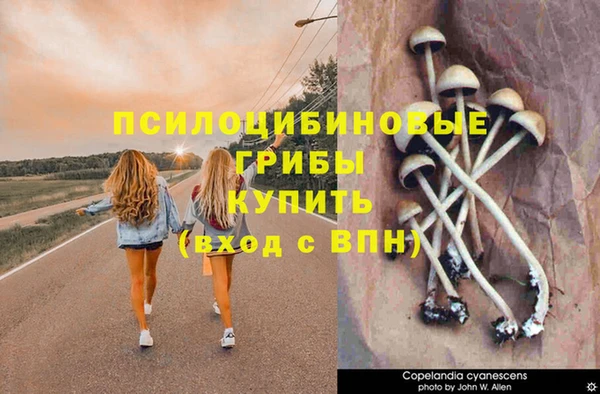 винт Каменка