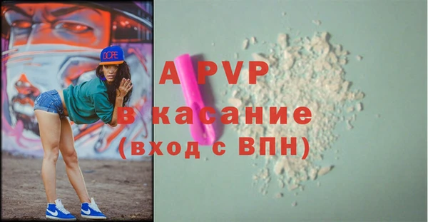 крисы Каменногорск