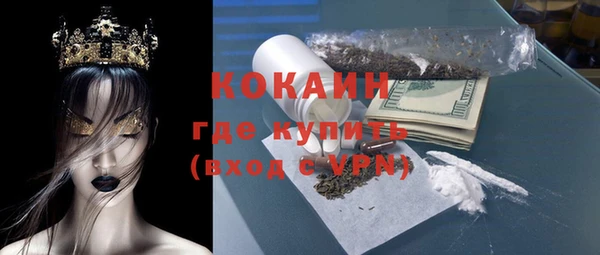 крисы Каменногорск