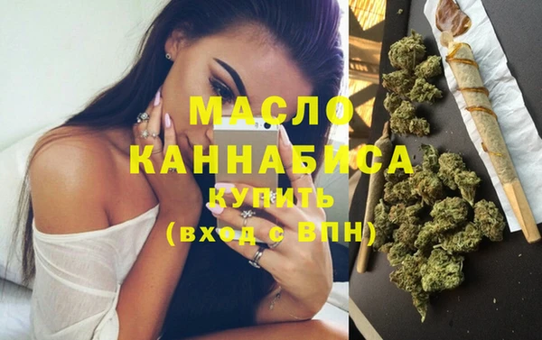 винт Каменка