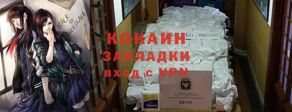 крисы Каменногорск