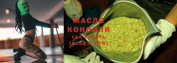 винт Каменка