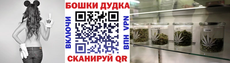 где купить наркотик Краснозаводск Канабис VHQ